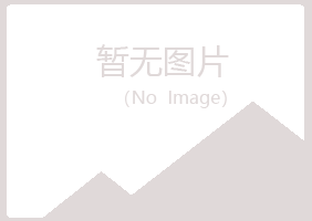 重庆江北夜山咨询有限公司